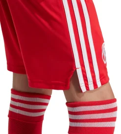 adidas Originals Shorts - FC Bayern München 25/26 - Pure Ruby