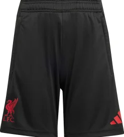 adidas Performance Shorts - Liverpool - Sort