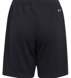 adidas Performance Shorts - Entrada 22 - Sort