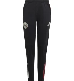 adidas Performance Træningsbukser - AJAX TR PNT Y - Sort