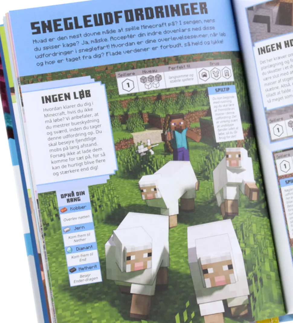 Alvilda Bog - Minecraft - Udfordringer I Survival: Eventyrudgave