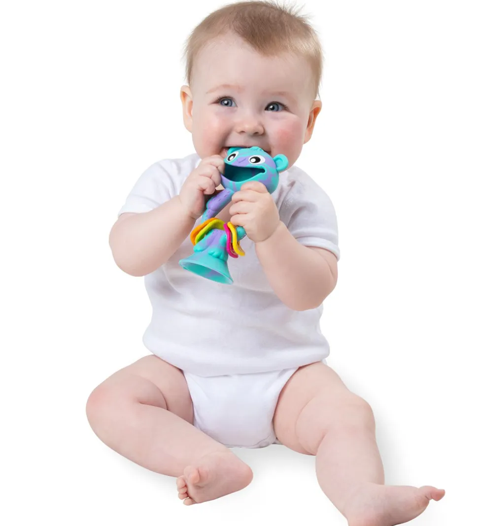 Playgro Rangle m. Sugekop - Wobble Buddy - Bjørn