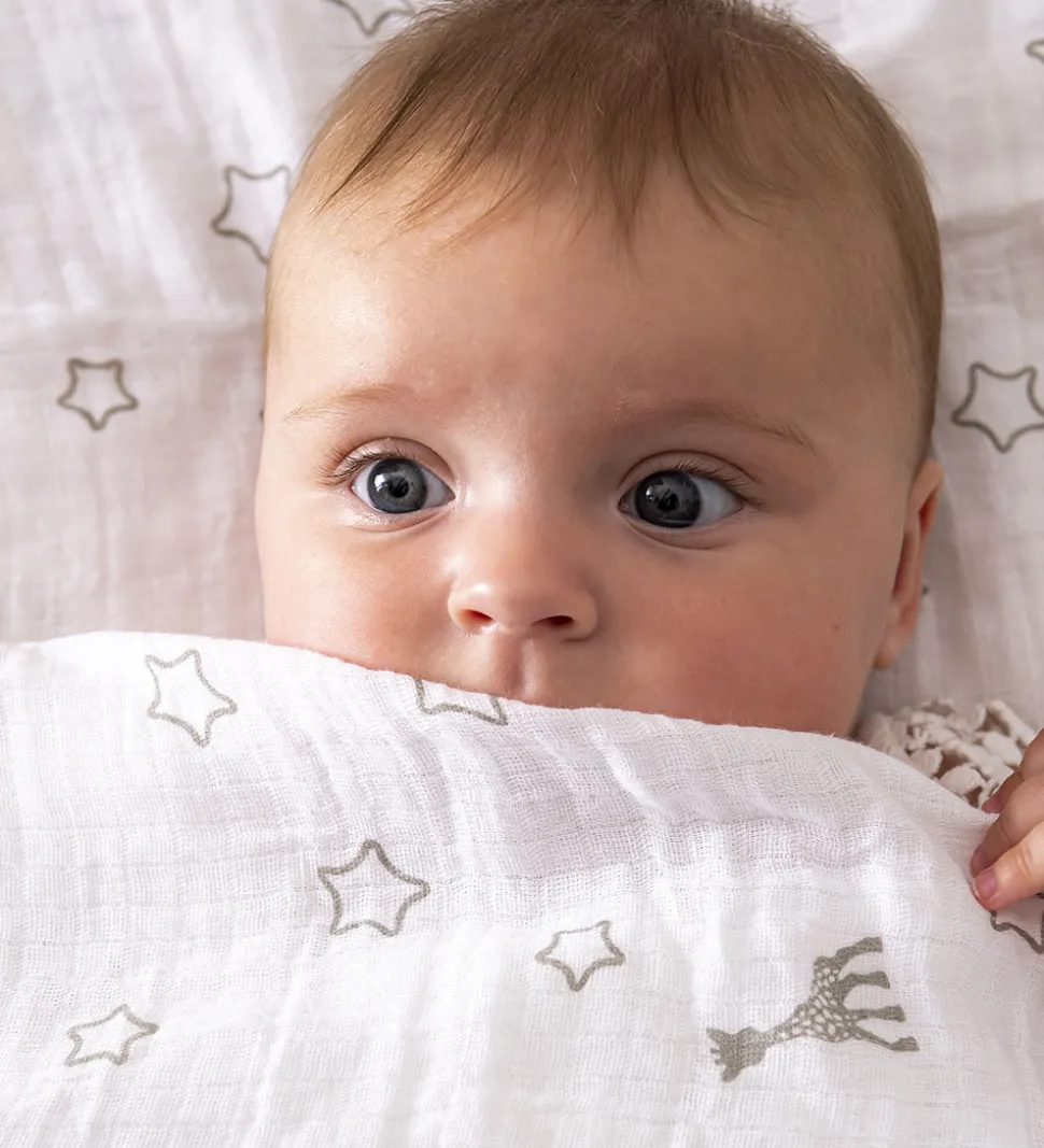 Sophie la Girafe Gaveæske - Bidering/Stofble