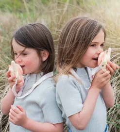 The Zoofamily Walkie Talkies - Dino Pink/Dino Grøn